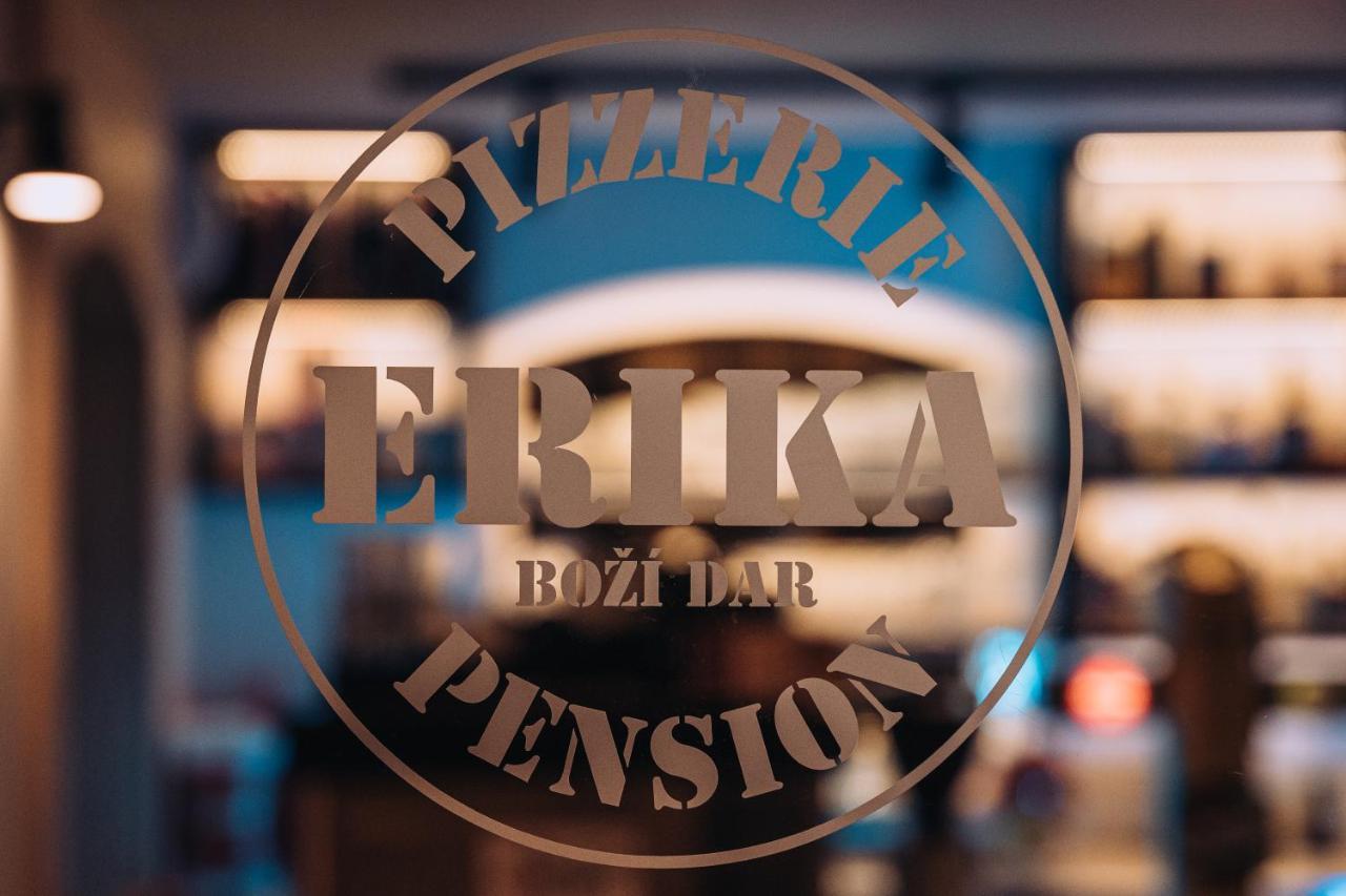 Penzion Erika Boží Dar Zewnętrze zdjęcie